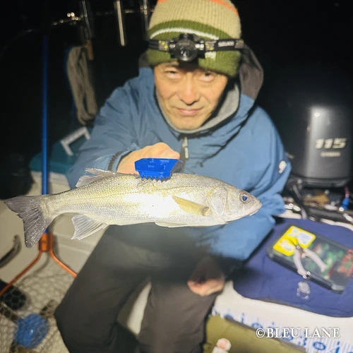 0:00～「シーバス便」7