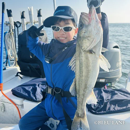 5:30～「シーバス便」10