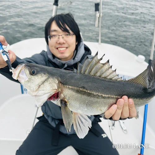 16:00~「ビッグベイトシーバス便」3
