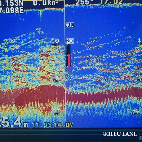 16:00~「ビッグベイトシーバス便」2