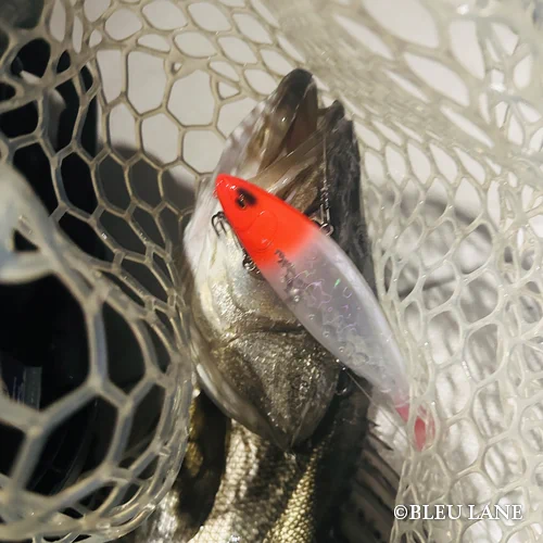 0:00～「ビッグベイトシーバス便」3