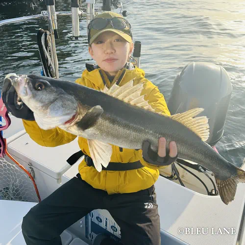 16:00~「シーバス・カサゴ便」12