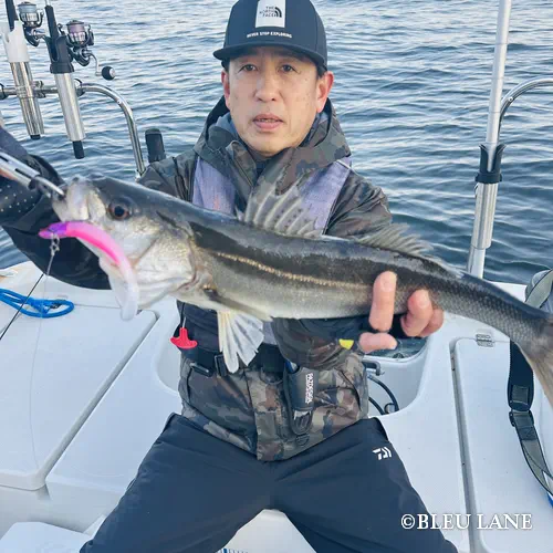 16:00～「シーバス・カサゴ便」2