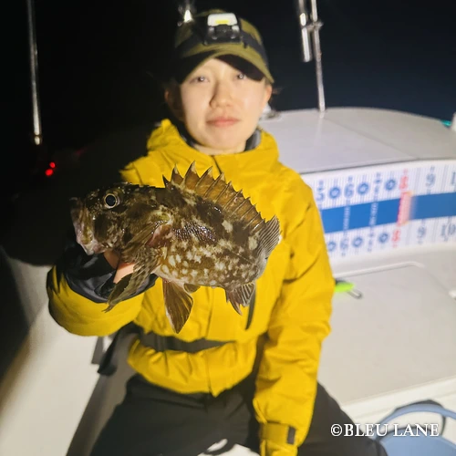 16:00～「シーバス・カサゴ便」3