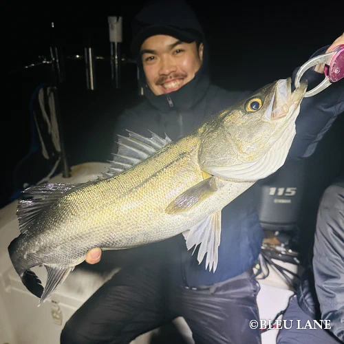 19:00~「シーバス便」153