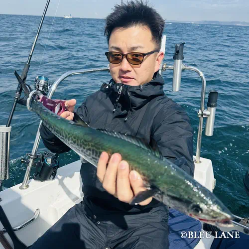 11:00～「サワラ便」1