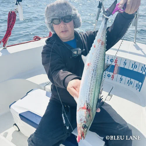 11:00～「サワラ便」3