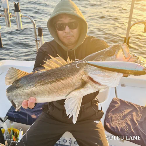 16:00～「ビッグベイトシーバス便」2