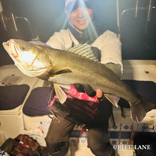 18:00～「シーバス便」74