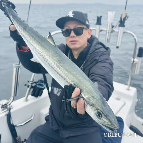 11:00～「サワラ便」4