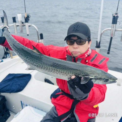 11:00～「サワラ便」3