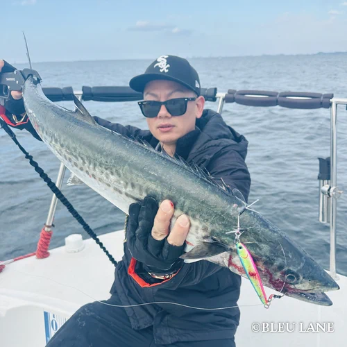 11:00～「サワラ便」15