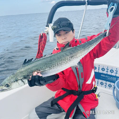 11:00～「サワラ便」10