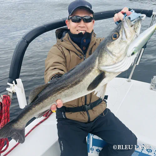 16:00～「ビッグベイトシーバス便」12