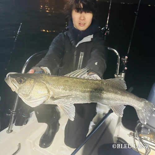 13:30~「五目便」15