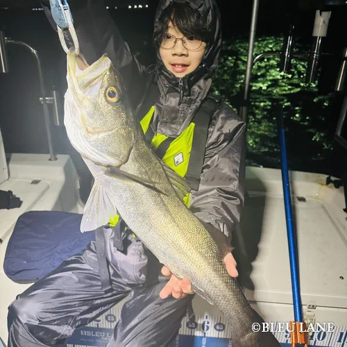 19:00~「シーバス便」52