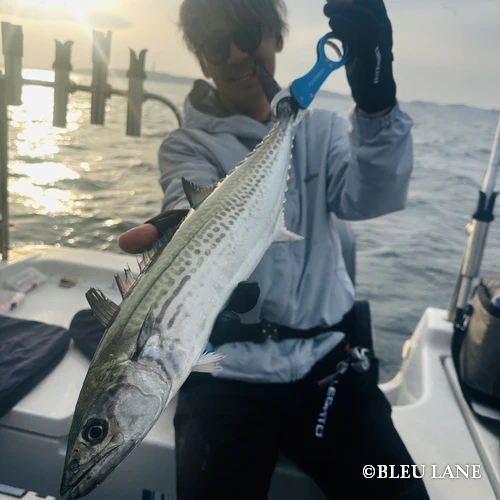 12:00～「サワラ便」5