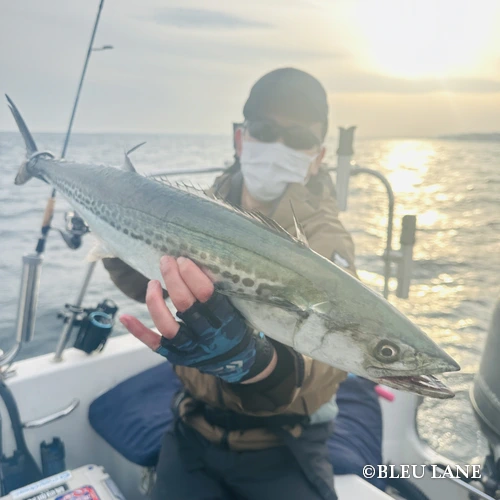 12:00～「サワラ便」9