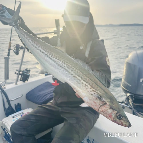 12:00～「サワラ便」10