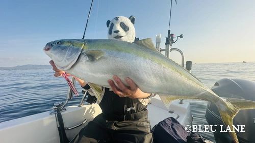 10:00~「サワラ便」3