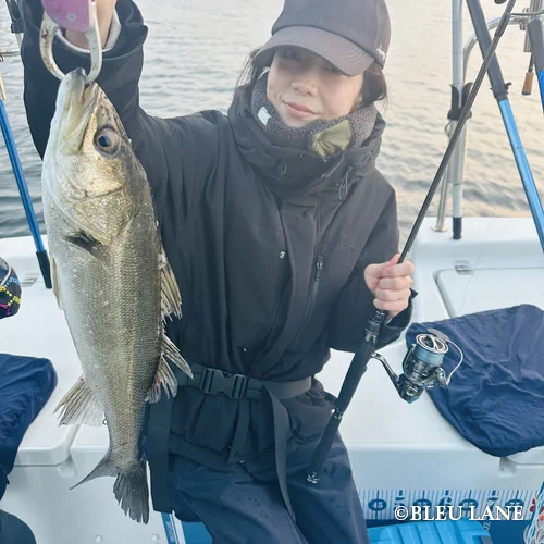 5:00～「シーバス便」20