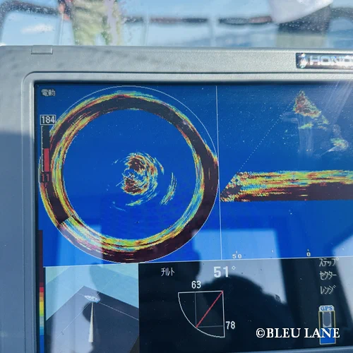 12:30~「サワラ便」2