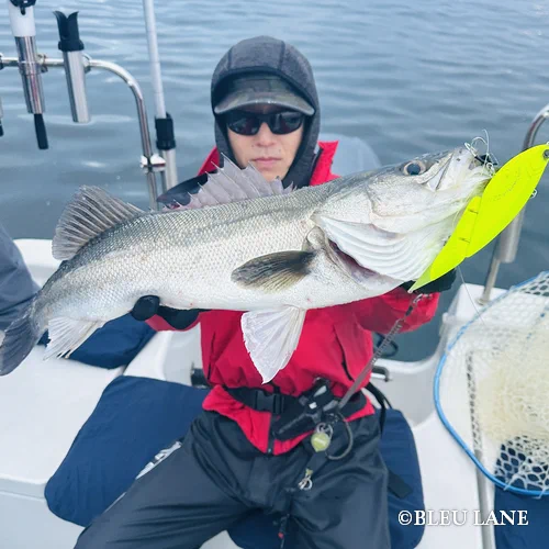 5:00～「ビッグベイトシーバス乗合便」56