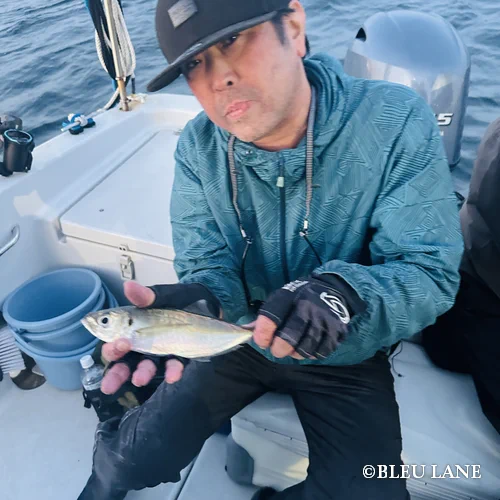 14:00～「シーバス・五目便」5