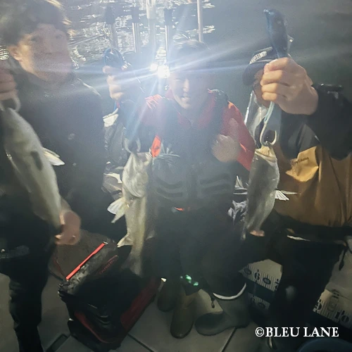 4:30～「シーバス・アジ便」3