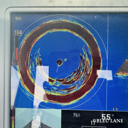 4:30～「シーバス・アジ便」5