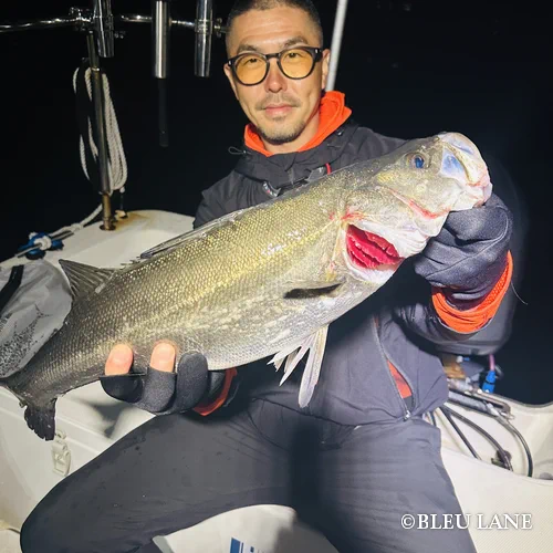 19:00～「ビッグベイトシーバス便」2