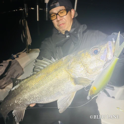 19:00～「ビッグベイトシーバス便」32