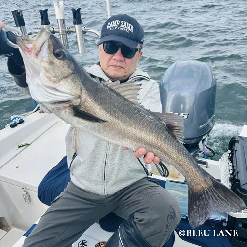 12:30～「五目便」15