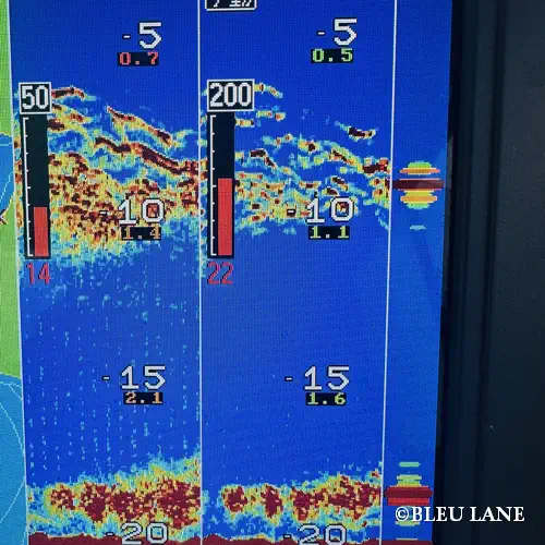 11:00～「青物乗合便」1