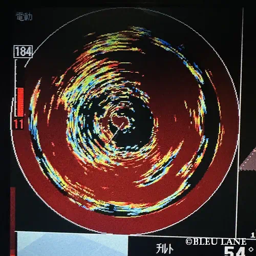 5:00～「シーバス便」1