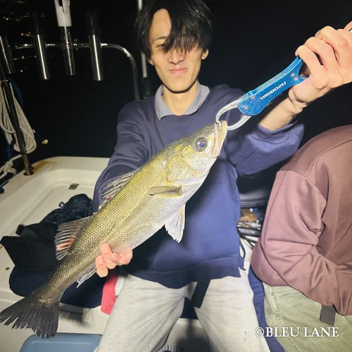 17:00～「五目便」15