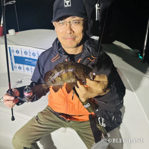 0:00～「ライトゲーム便」19