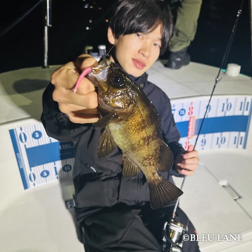 0:00～「ライトゲーム便」2