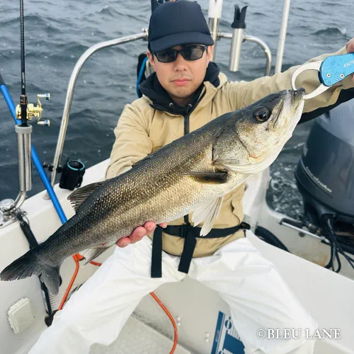 5:00～「シーバス便」5