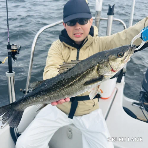 5:00～「シーバス便」6