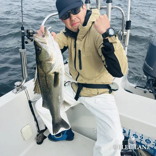 5:00～「シーバス便」8