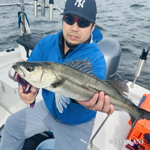 5:00～「シーバス便」9