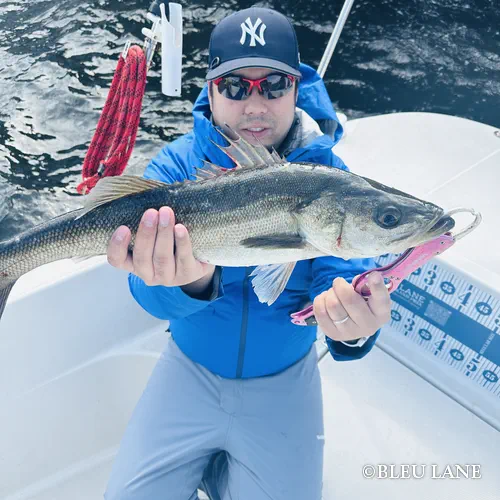 5:00～「シーバス便」11