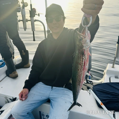 12:30～「青物乗合便」5