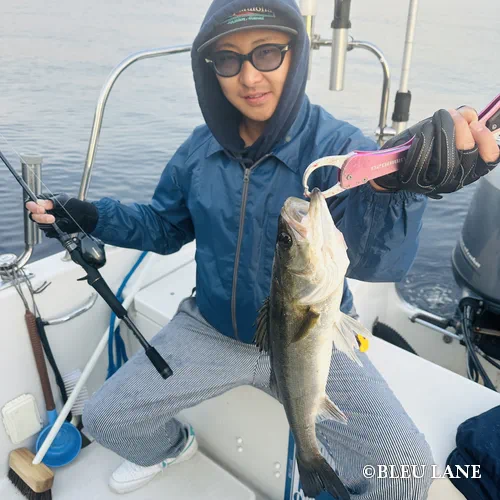 4:00～「シーバス便」1