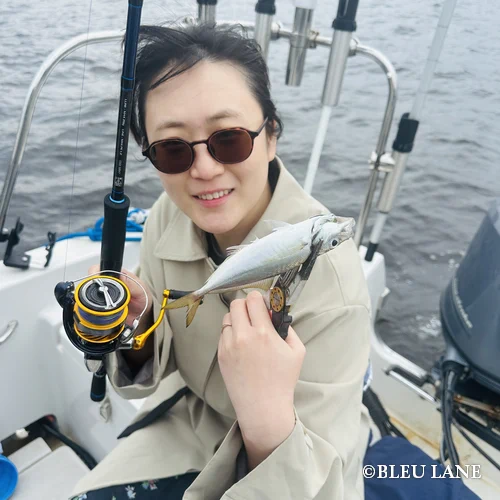 8:00～「アジ便」1