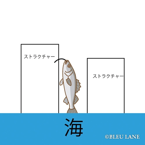 7:00～「シーバス便」6