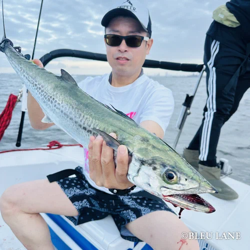 8月中旬～下旬便11