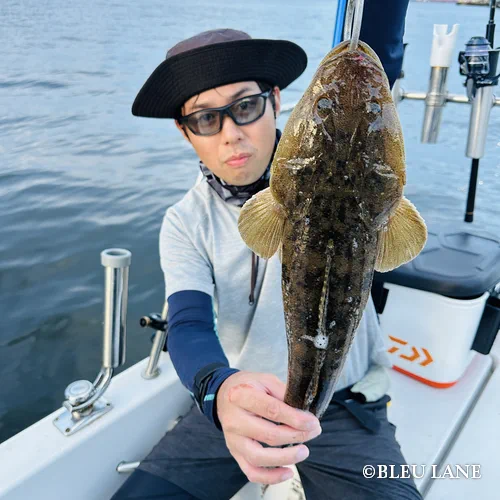 8月中旬～下旬便82