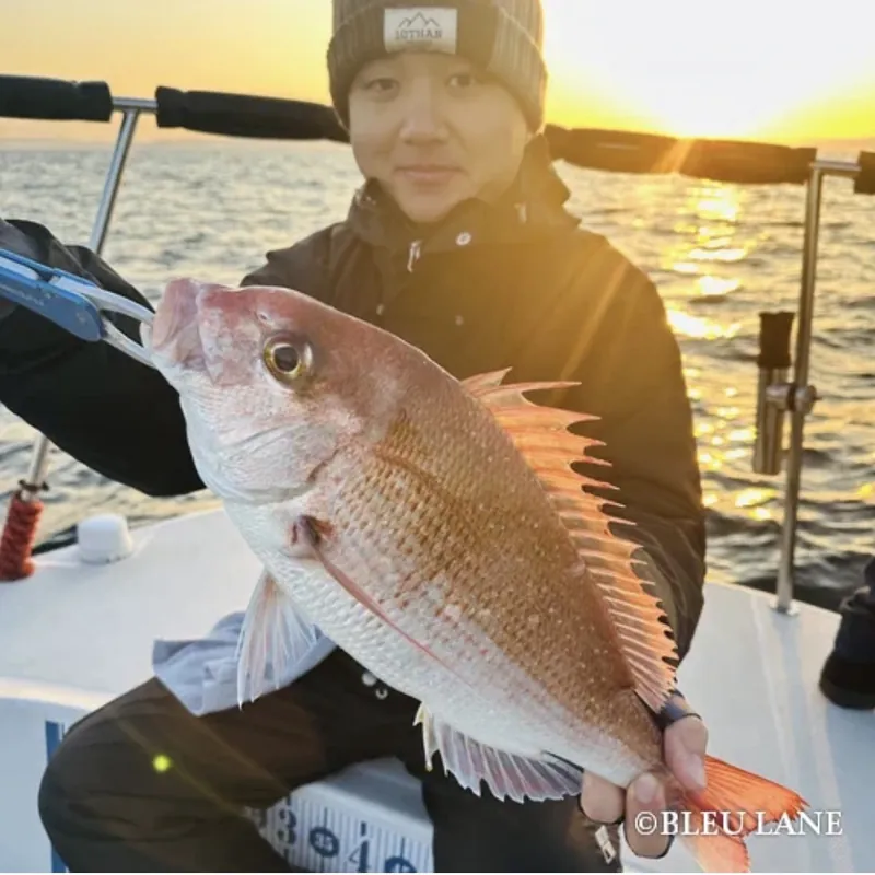 Guest holding a red sea bream at sunset